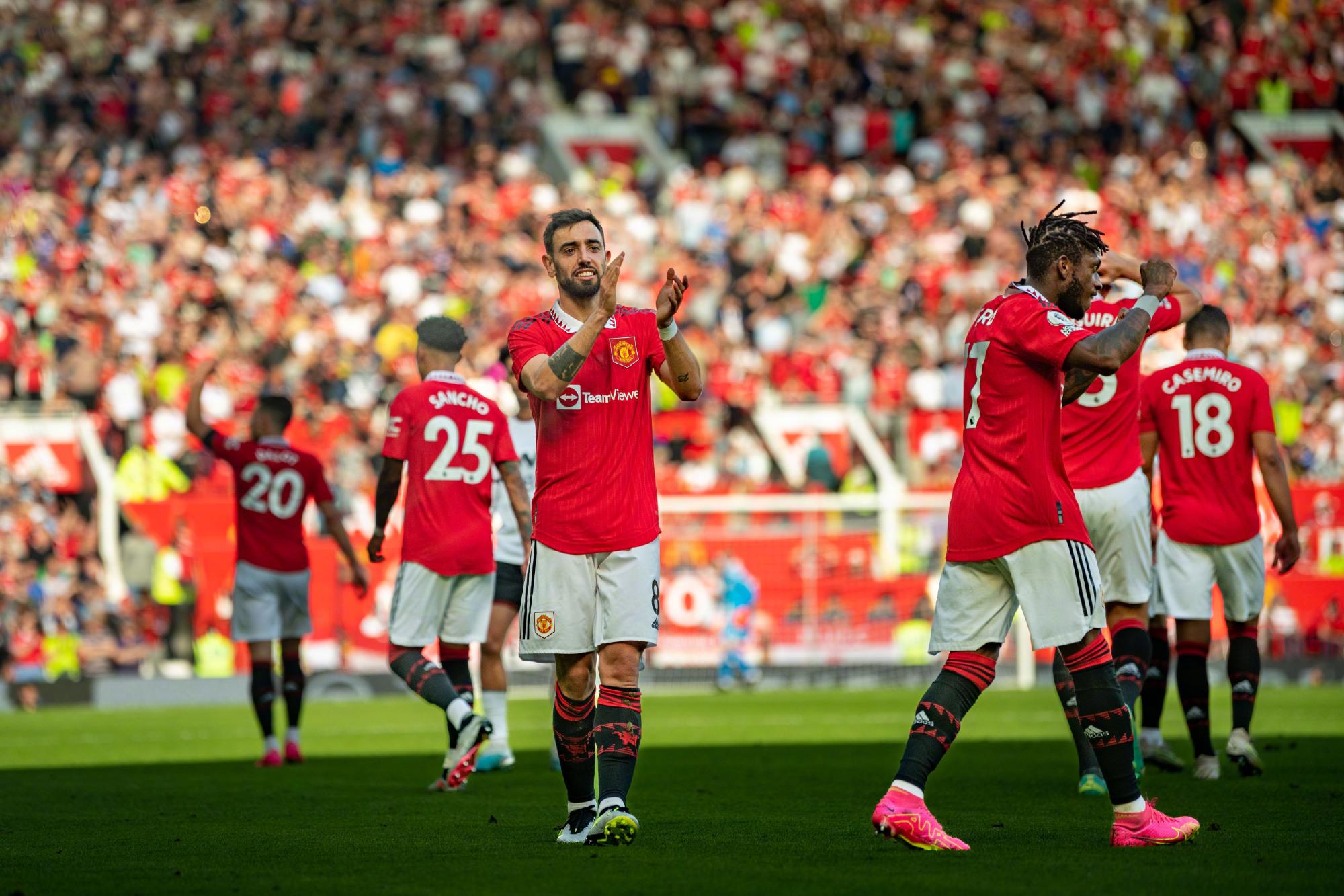 球专家们的 球专家们的