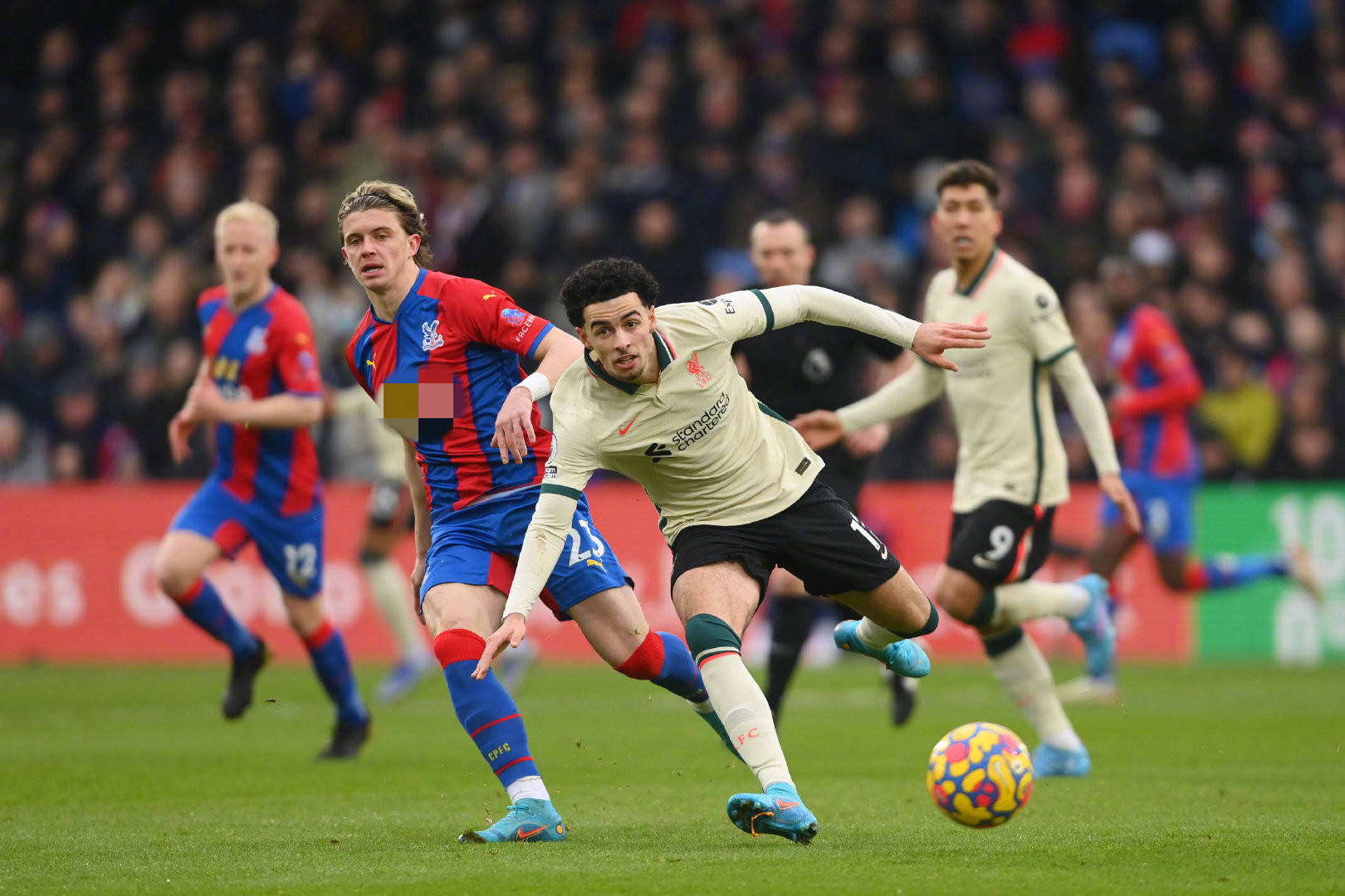 信他的回归 信他的回归